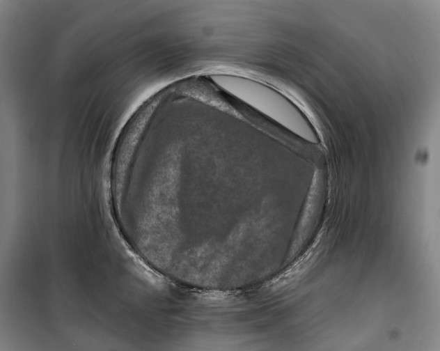 X0000099571048200806061558