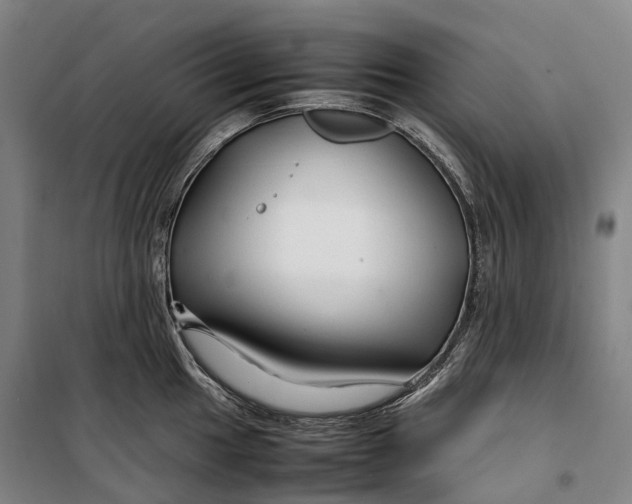 X0000099571049200806061558