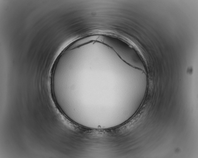 X0000099571050200806061558