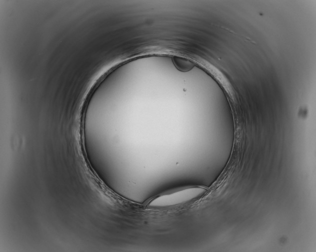 X0000099571051200806061558