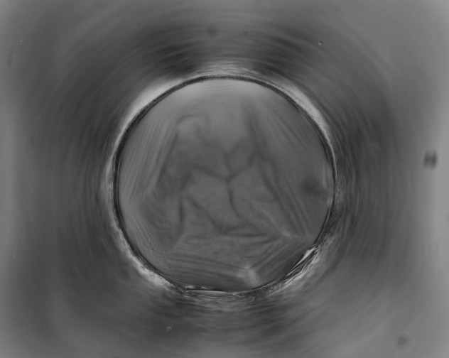 X0000099571053200806061558