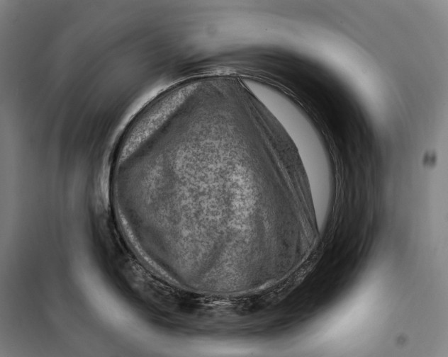X0000099571054200806061558