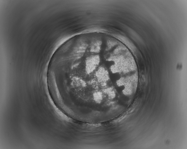 X0000099571055200806061558