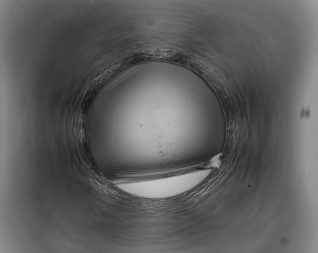 X0000099571058200806061557