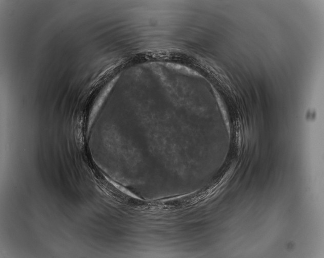 X0000099571060200806061557