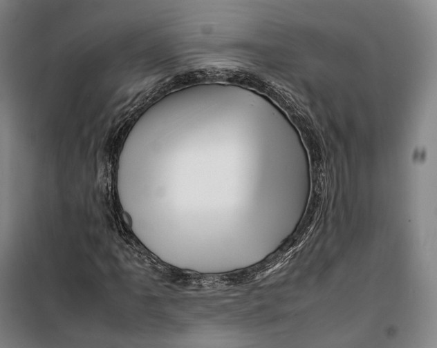 X0000099571061200806061557