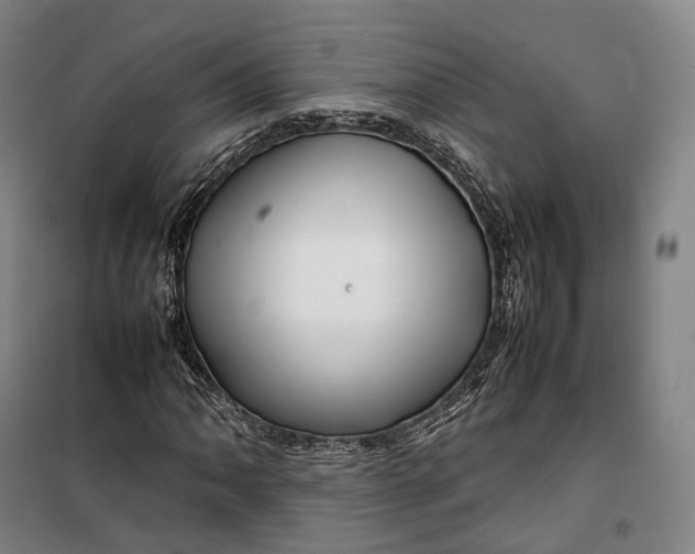 X0000099571062200806061557