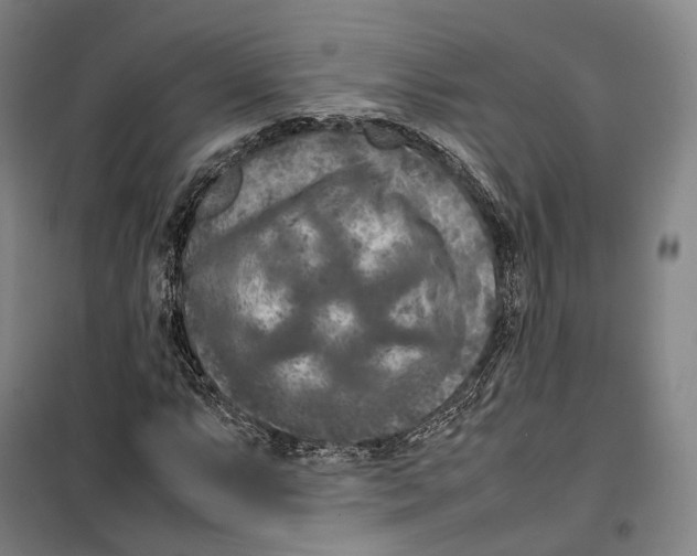 X0000099571063200806061557