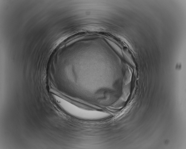 X0000099571065200806061557