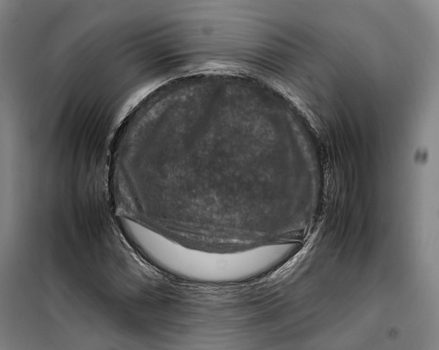 X0000099571066200806061557