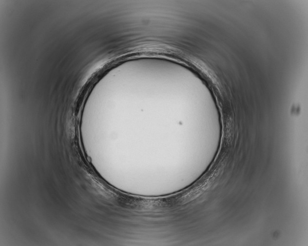 X0000099571067200806061557