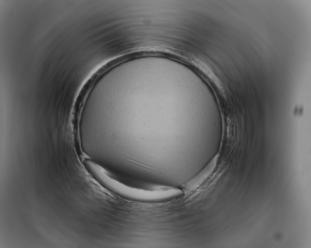 X0000099571068200806061557