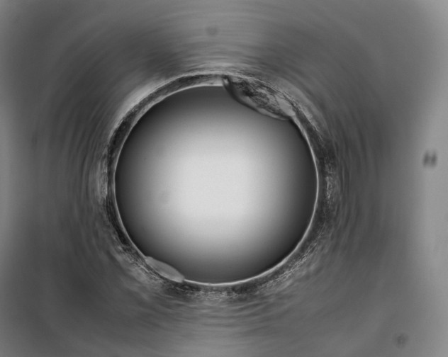 X0000099571069200806061557
