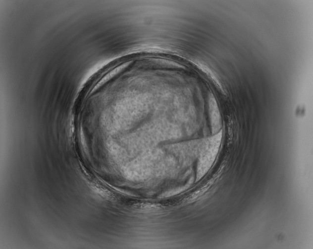 X0000099571070200806061557