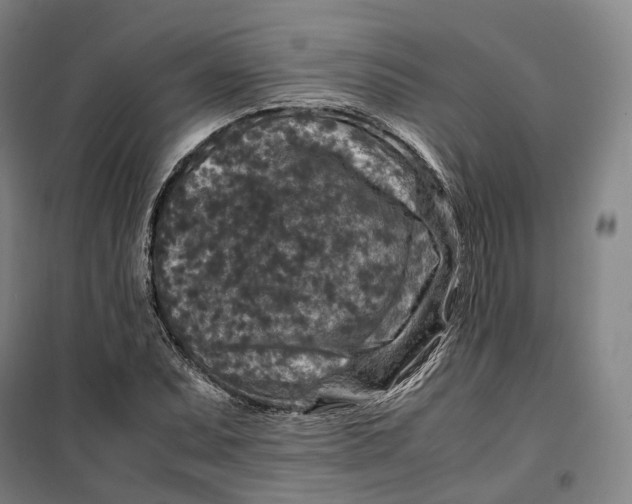 X0000099571071200806061557