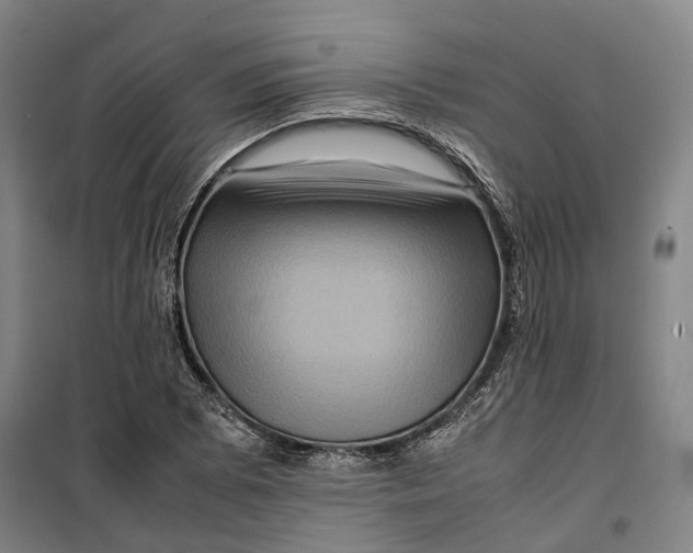 X0000099571073200806061557