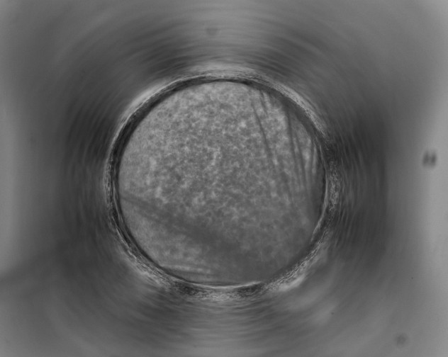 X0000099571074200806061557