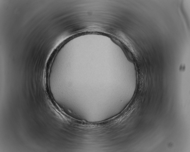 X0000099571076200806061557