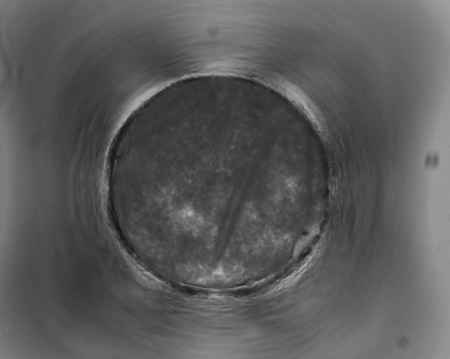 X0000099571077200806061557