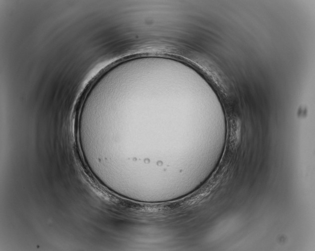 X0000099571078200806061557