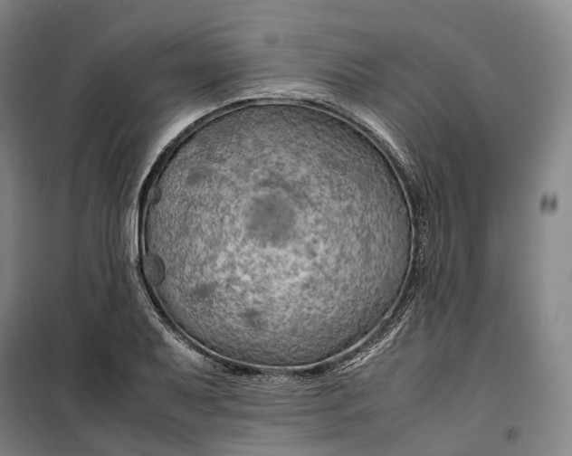 X0000099571079200806061557