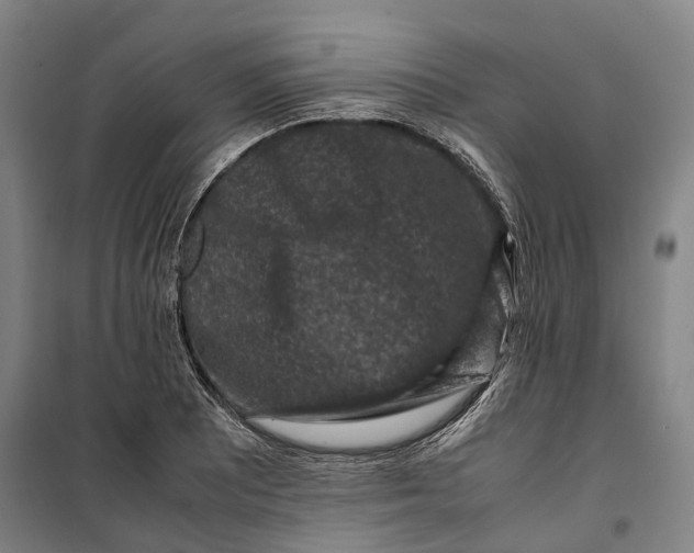 X0000099571081200806061557