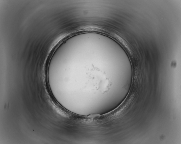 X0000099571082200806061557