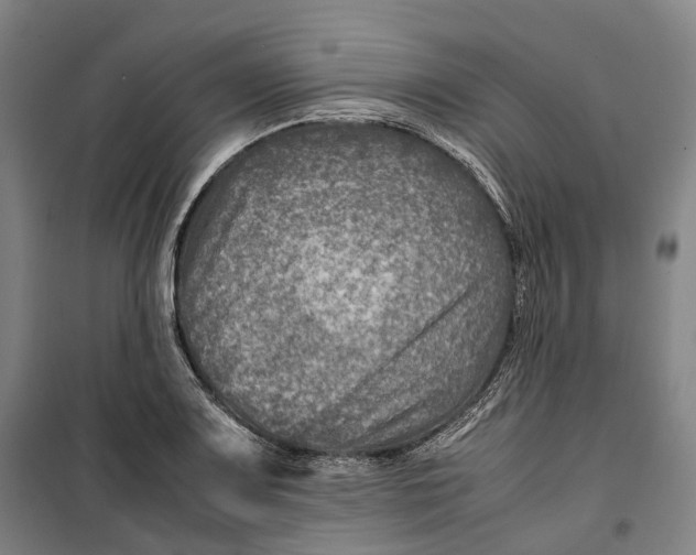 X0000099571083200806061557