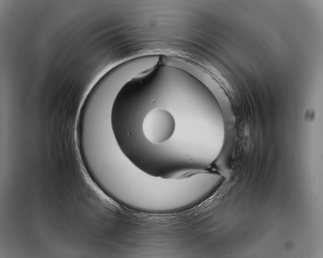 X0000099571084200806061557