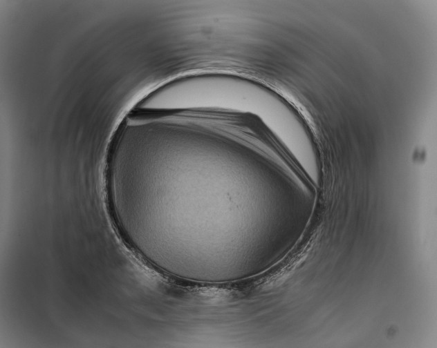 X0000099571085200806061557