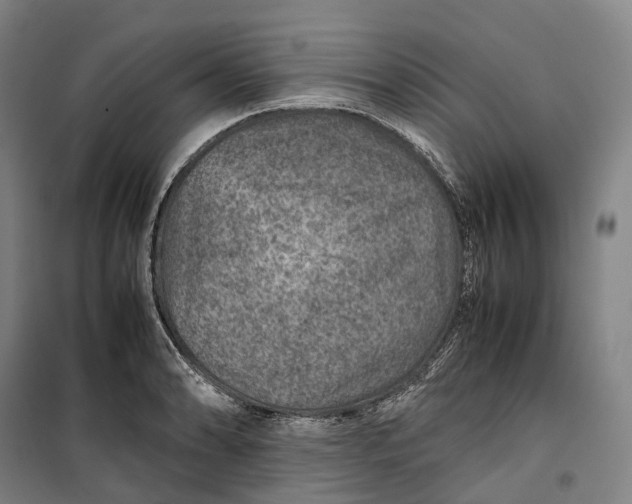 X0000099571086200806061557