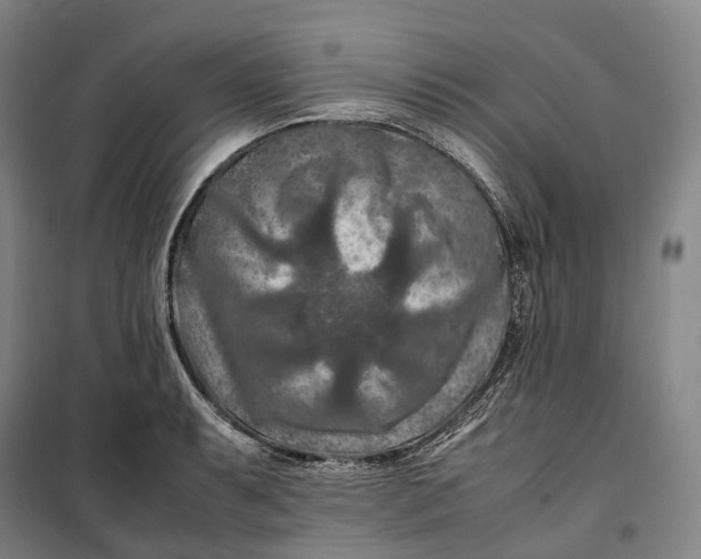 X0000099571087200806061557