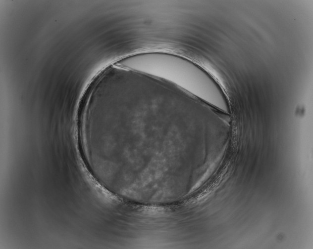 X0000099571088200806061557
