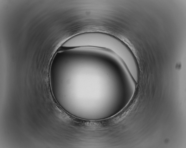 X0000099571089200806061557
