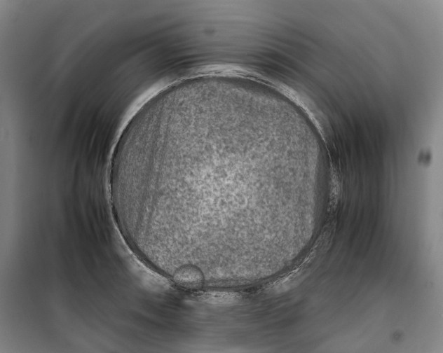X0000099571090200806061557