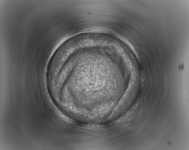 X0000099571091200806061557