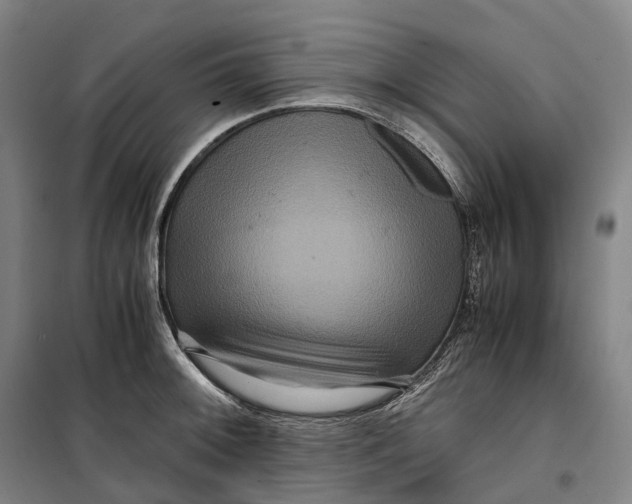 X0000099571092200806061557