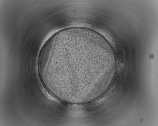 X0000099571094200806061557