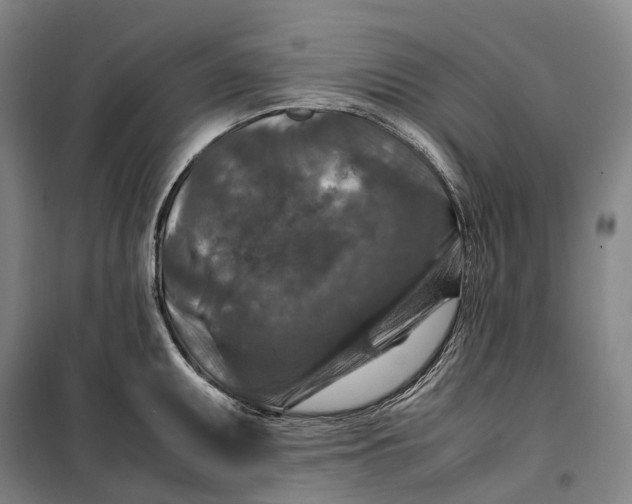 X0000099571095200806061557