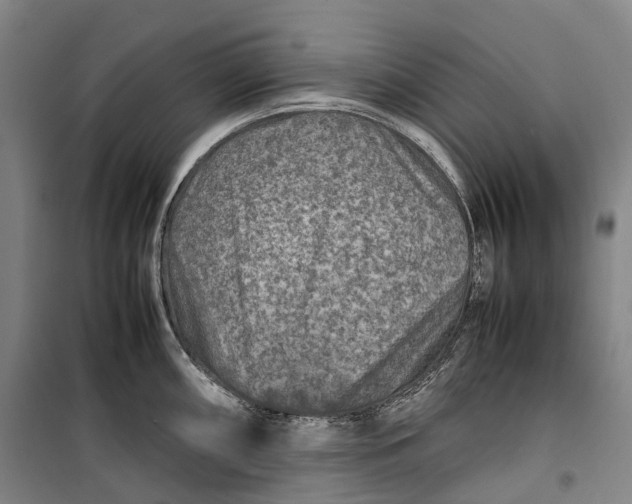 X0000099571098200806061557
