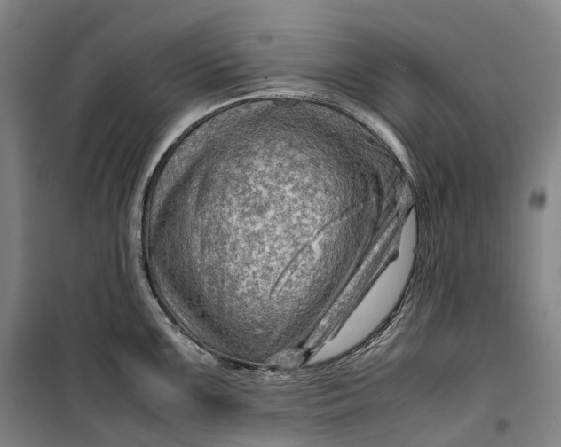 X0000099571099200806061557