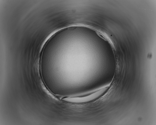 X0000099571100200806061557