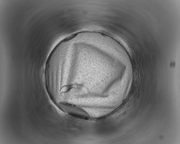 X0000099571103200806061557