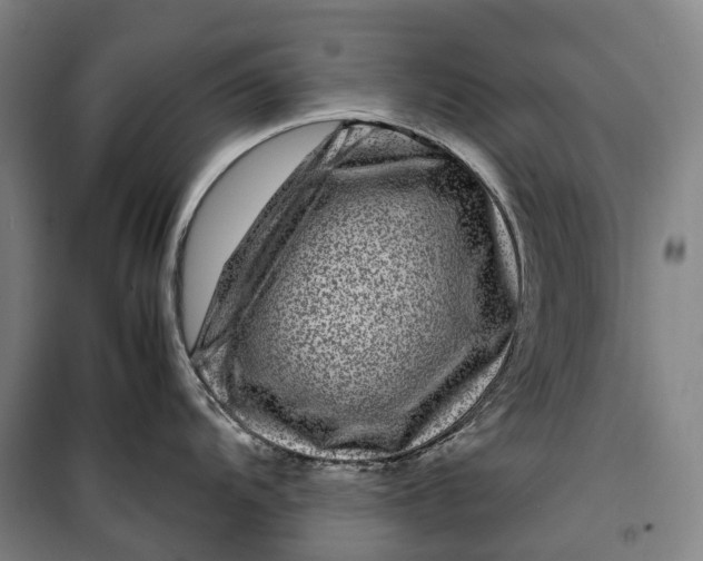X0000099571104200806061557