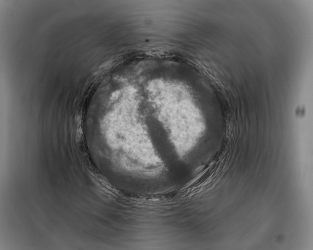 X0000099571106200806061556