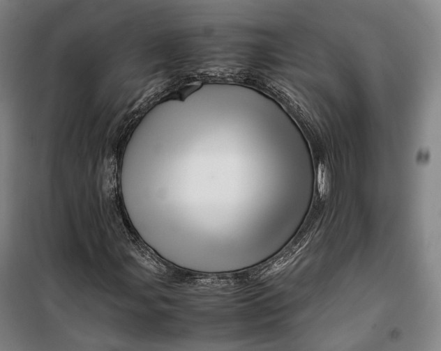 X0000099571107200806061556