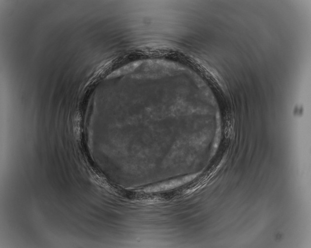 X0000099571108200806061556