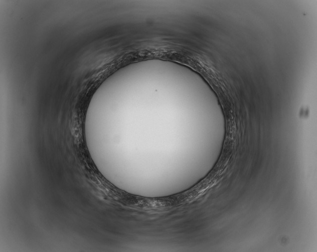 X0000099571109200806061556