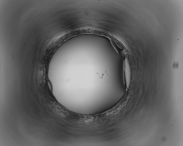 X0000099571111200806061556
