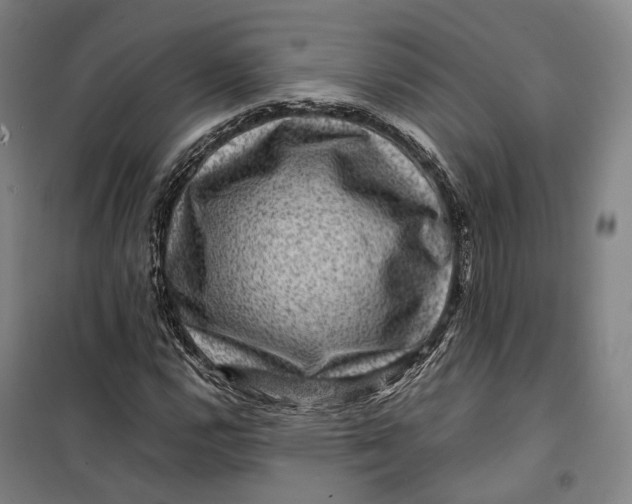 X0000099571112200806061556